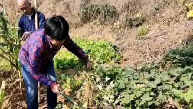 崇教寺位于浙江省诸暨市 ,四面环山!景色优美!人杰地灵!