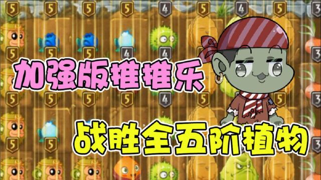 植物大战僵尸:加强版推推乐!大嘴战胜全五阶植物!