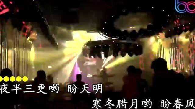 映山红DJ夜店现场中文伤感重低音车载HDMV