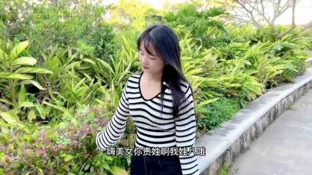 八个的八和八斤的八是不同一个八,这是美女的回答,你们感觉到底谁傻?