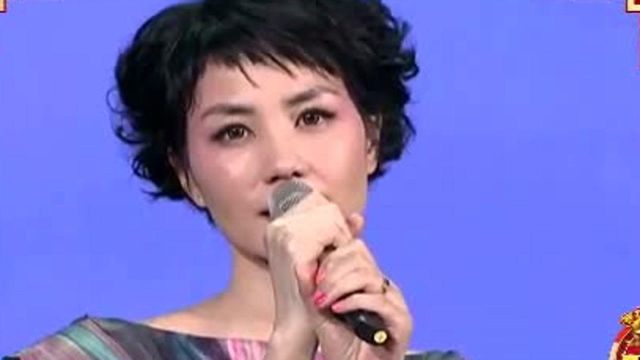 央视春晚歌曲精选:《传奇》(2010)王菲演唱