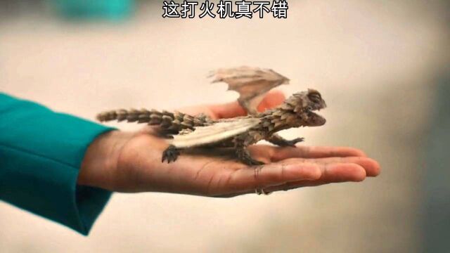 这打火机真不错