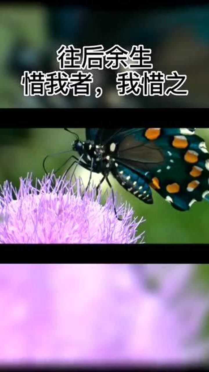 往后余生,惜我者,我惜之;冷我者,我弃之