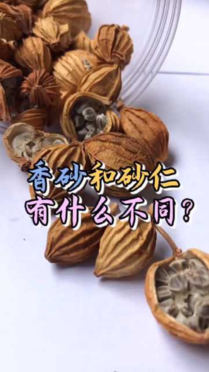 在卤肉时香砂和砂仁如何才能发挥最大作用