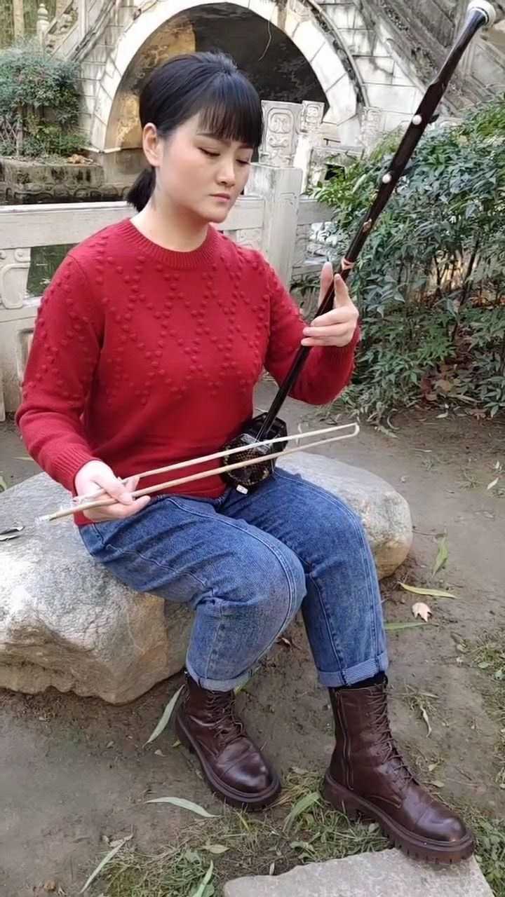 二胡版可可托海牧羊人