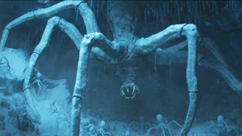 飞船迫降冰冻星球，躲进温泉取暖，竟发现这是巨型蜘蛛巢！