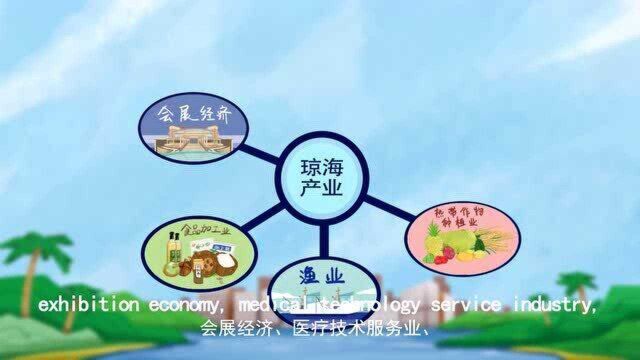 海南自贸港建设琼海实用英语100句(第七章)