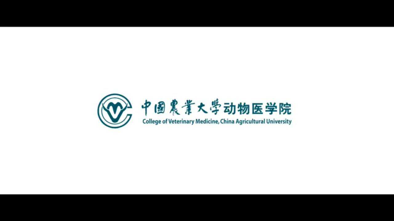 中国农业大学动物医学院宣传片