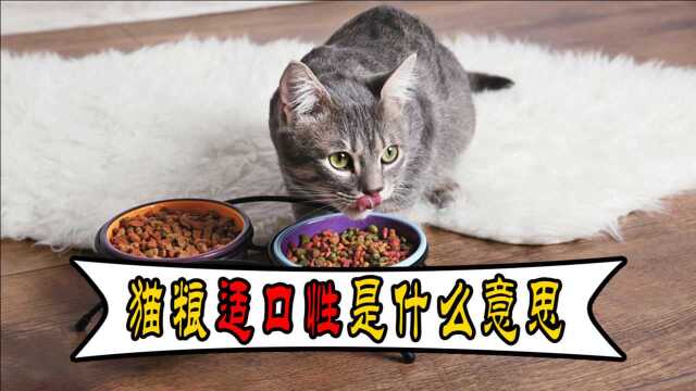 猫粮适口性是什么意思?