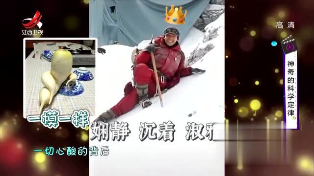 胡歌片场摔跤,摔也要摔得优雅,躺在雪地的样子像极了这个表情包