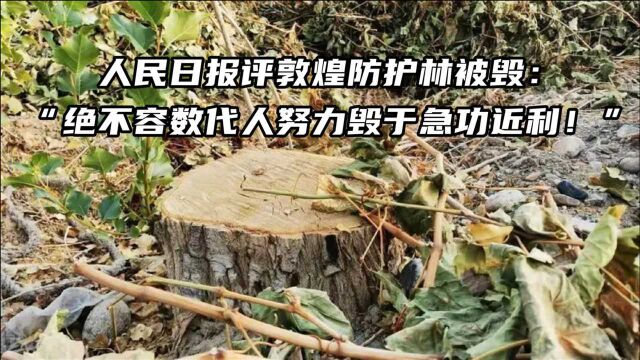 人民日报评敦煌防护林被毁:“绝不容数代人努力毁于急功近利!”