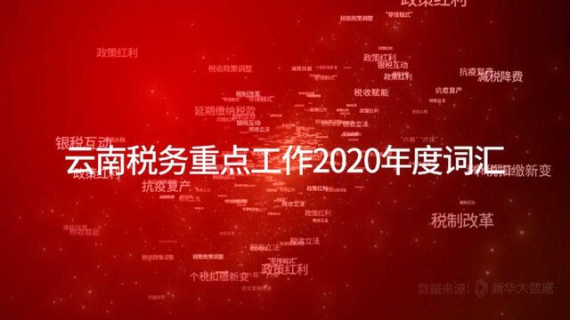 【2021云南两会】政协委员的年度关键词之“六稳”“六保”