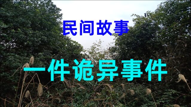 民间故事《一件诡异事件》钟小在这城市奋斗了八年终于有自己的家