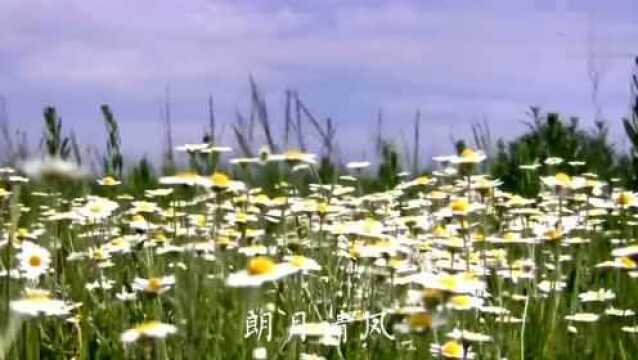 #诗词大会#上联:烟浓雨暗芳姿瘦,邀诗友们对下联