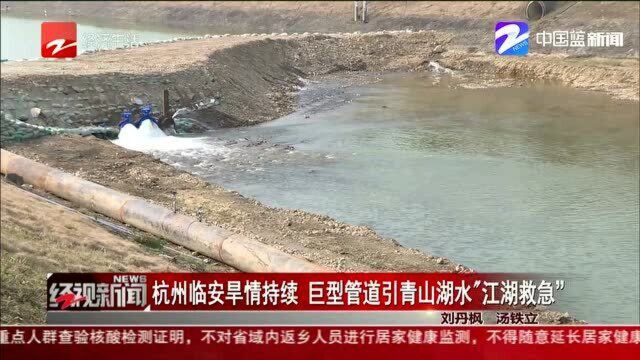 杭州临安旱情持续 巨型管道引青山湖水“江湖救急”