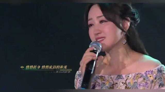 杨钰莹一首《我在春天等你》,嗓音温柔迷人