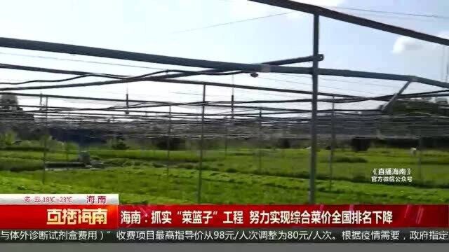 海南:抓实“菜篮子”工程 努力实现综合菜价全国排名下降