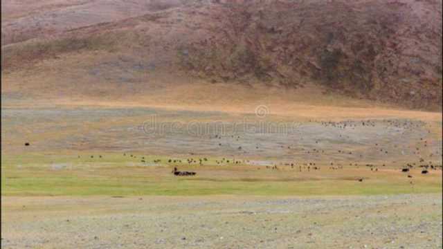 中国面积最大的无人区,人类禁地动物天堂,网友:免费都不去!