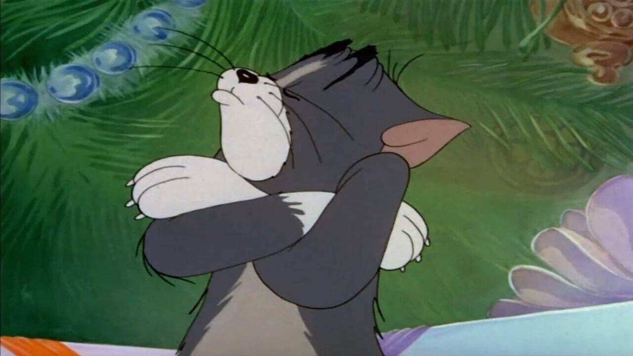 猫和老鼠:汤姆很生气,哄不好的那种!