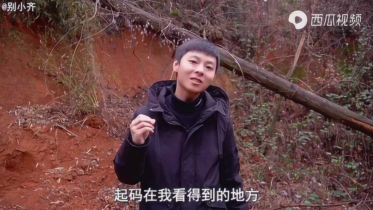 别小齐简介图片