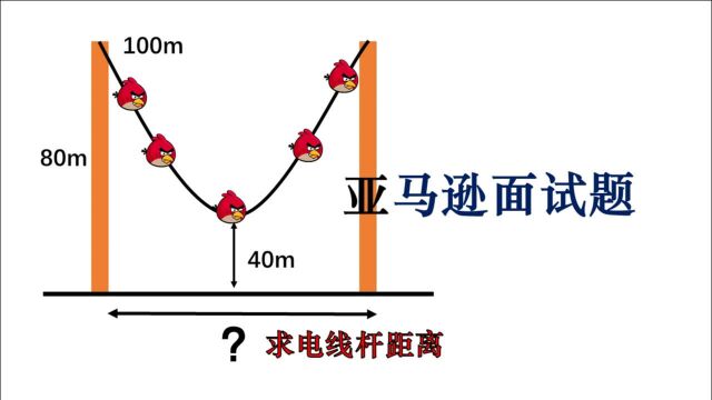 亚马逊高薪面试题,关于悬链线函数的一些小知识