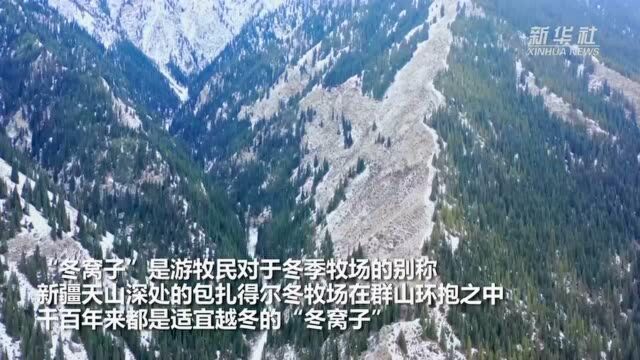 天山游牧民:“冬窝子”里安然越冬