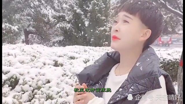 马美如《树梢梢亲到树根根》