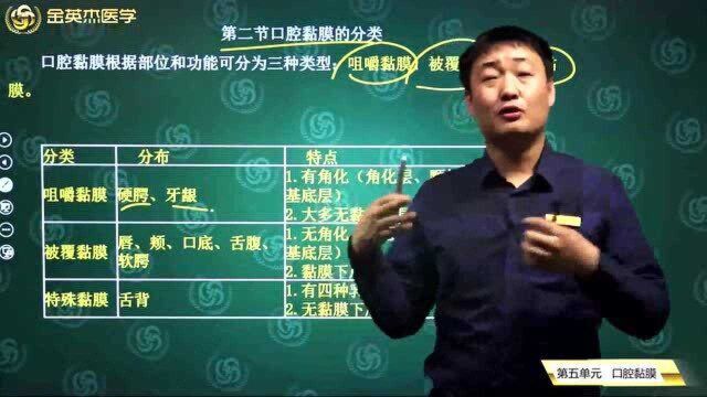 口腔组织病理学:口腔黏膜分为三大类,它们的分布及其特点都在这里了.