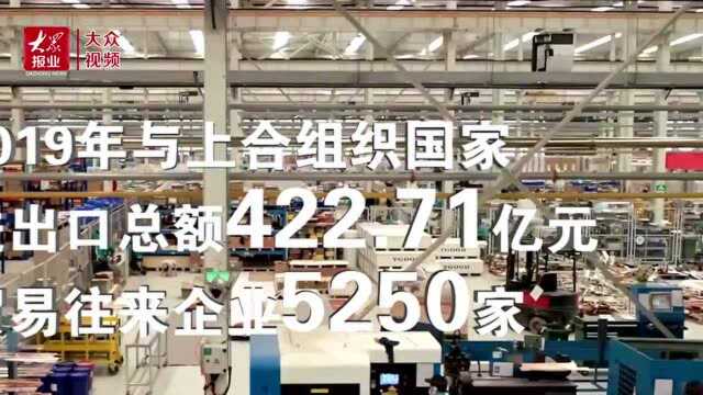 大众日报新春蹲点报告② “关键一招”,山东这样出招