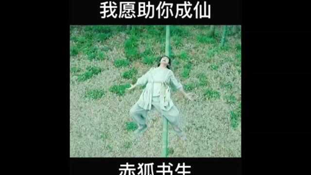 电影赤狐书生