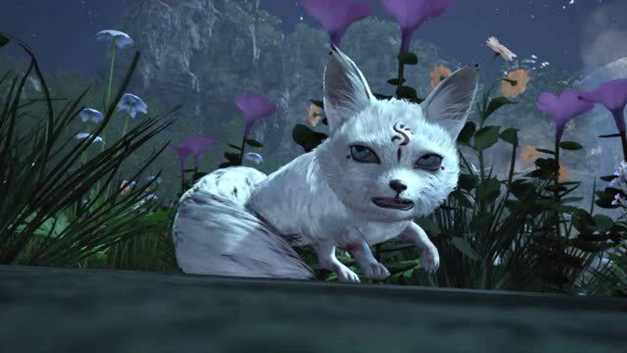 天荒战神:介是什么可爱的小动物?