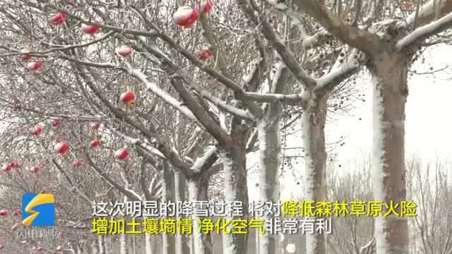 48秒|滨州无棣县迎来全县范围降雪天气 局部中到大雪