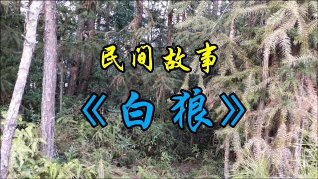 民间故事《白狼》白狼山山清水秀