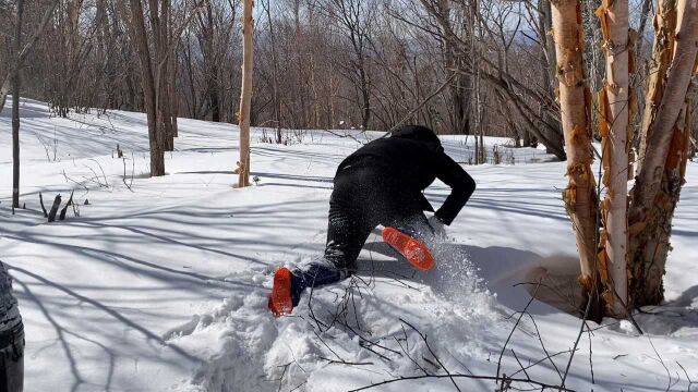 第一天进山出师不利,大雪一米多深泉全程爬着走,掉进去就出不来