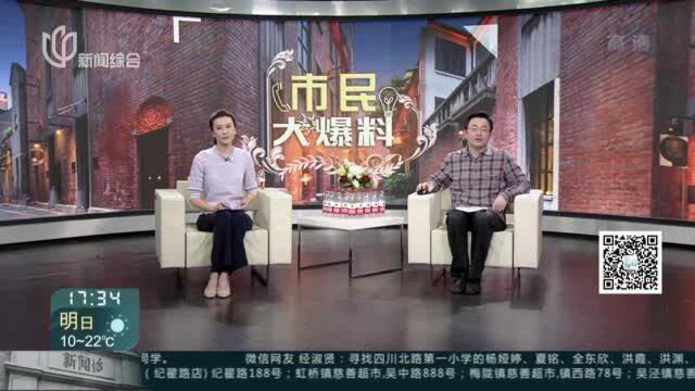 珠颈斑鸠筑巢产子 关窗半月爱心呵护