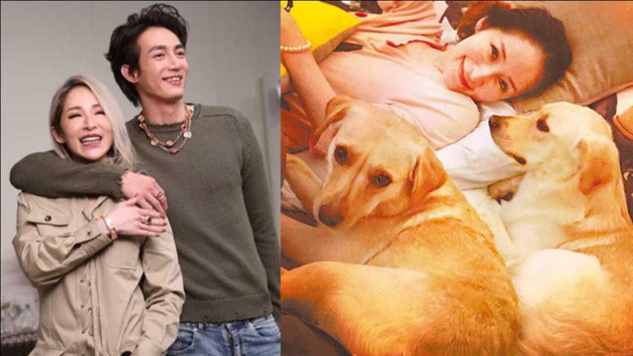 台媒曝萧亚轩黄皓被狗咬伤小男友伤势严重仍在住院治疗