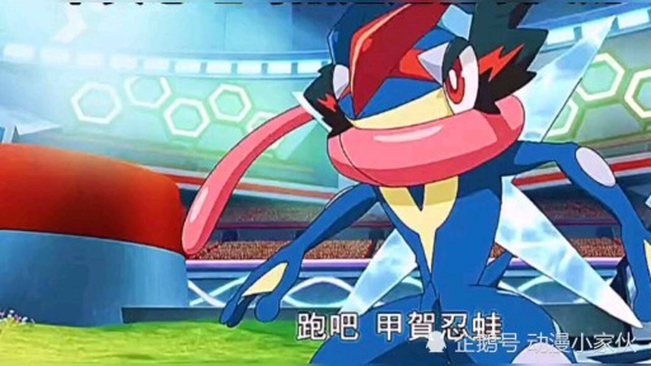《神奇宝贝》甲贺忍蛙vs蓄水喷火龙_腾讯视频