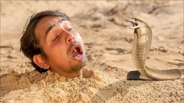 老外作死亲测,将自己埋进土里挑战生存,网友:这也太秀了!_腾讯视频