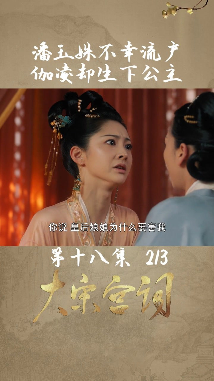 第18集02潘玉姝身体弱不幸流产伽凌却成功生下公主大宋宫词