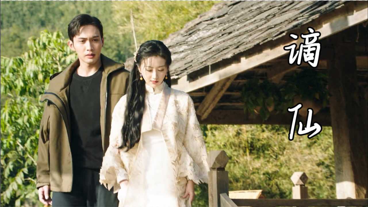 司藤秦放甜蜜混剪女王和她的小忠犬真的好好磕