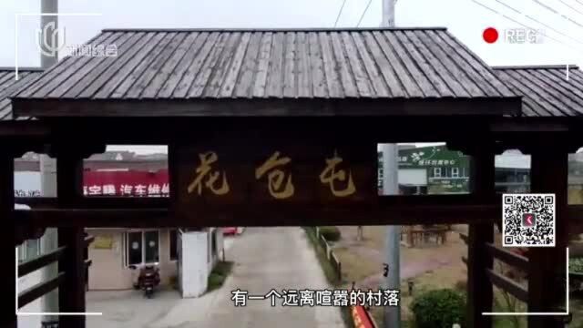 崇明岛花仓村带“花”村民为花博会送祝福