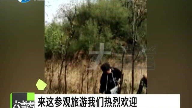 河南鹤壁:网传游客私摘香椿一芽罚500元?真相来了:有误,一共赔了260元!