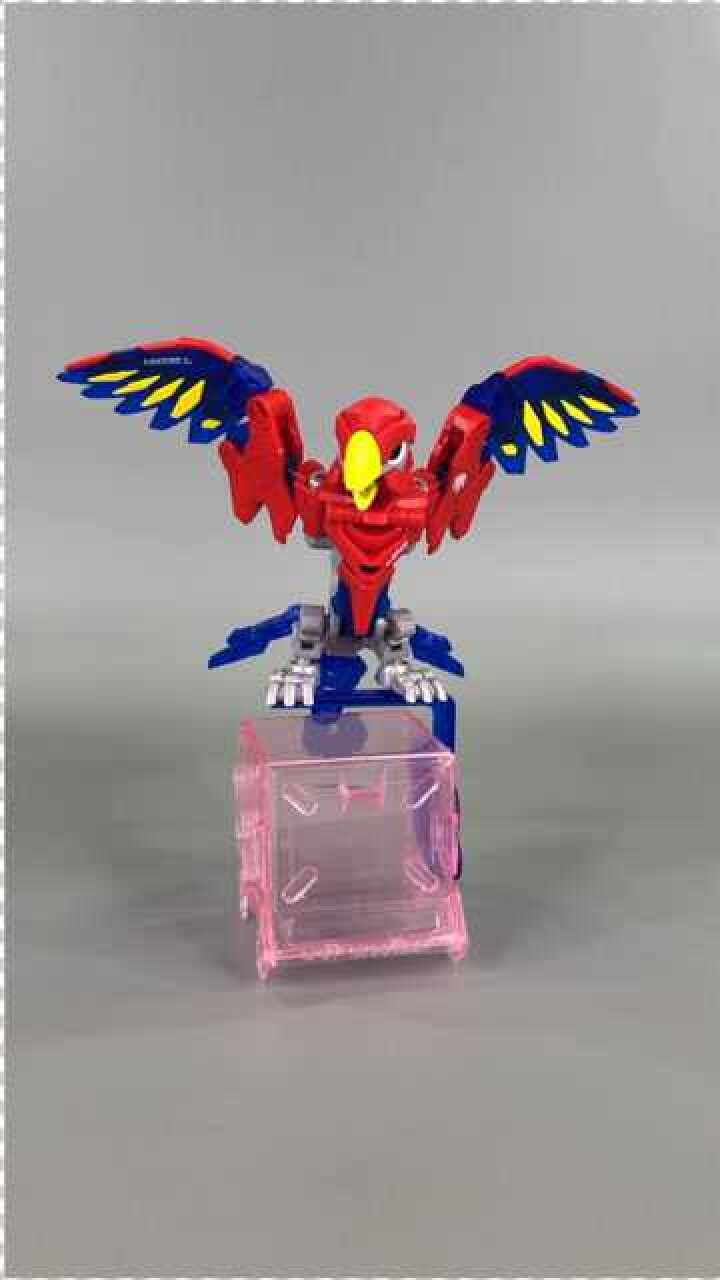 52toys猛兽匣系列bb09红鹦鹉回音爆手含变形流程
