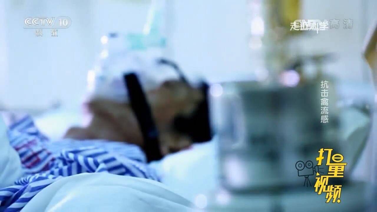 H7N9禽流感病毒来势汹汹，确诊病例都曾与活禽有接触史_高清