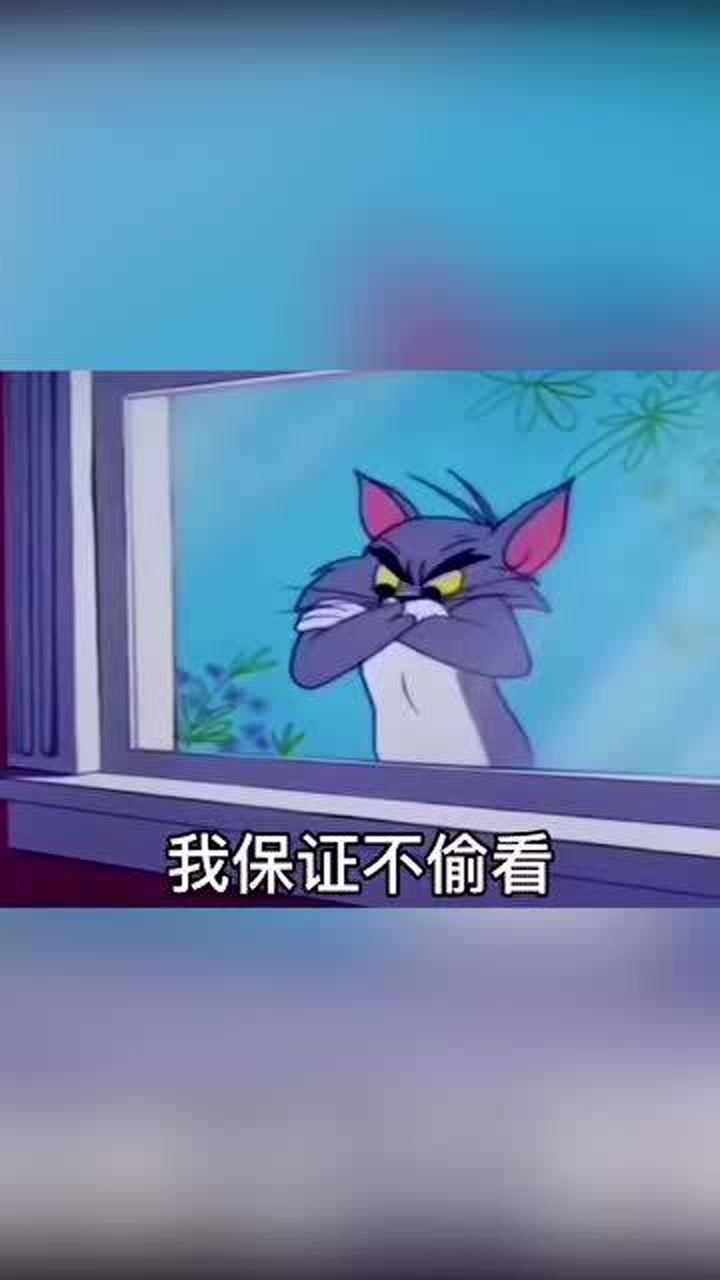 表情包情报站洗澡去洗吧我保证不偷看