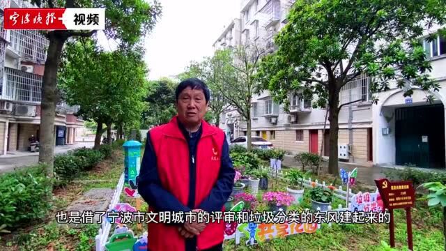 居民众筹盆栽打造共享花园,脏乱绿化带变身四季花田