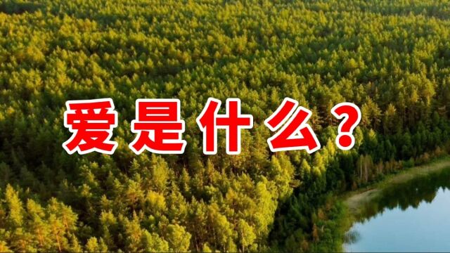 《感知新人类》:爱是什么?