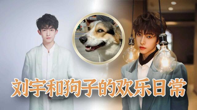 刘宇爱犬起名卡子哥,小狗随主人穿古装,国风少年一眼万年 #鹅创剪辑大赏 第二阶段#