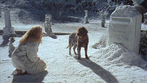 男子投胎变成狗，为了让妻子认出自己，他扒开墓碑上的雪