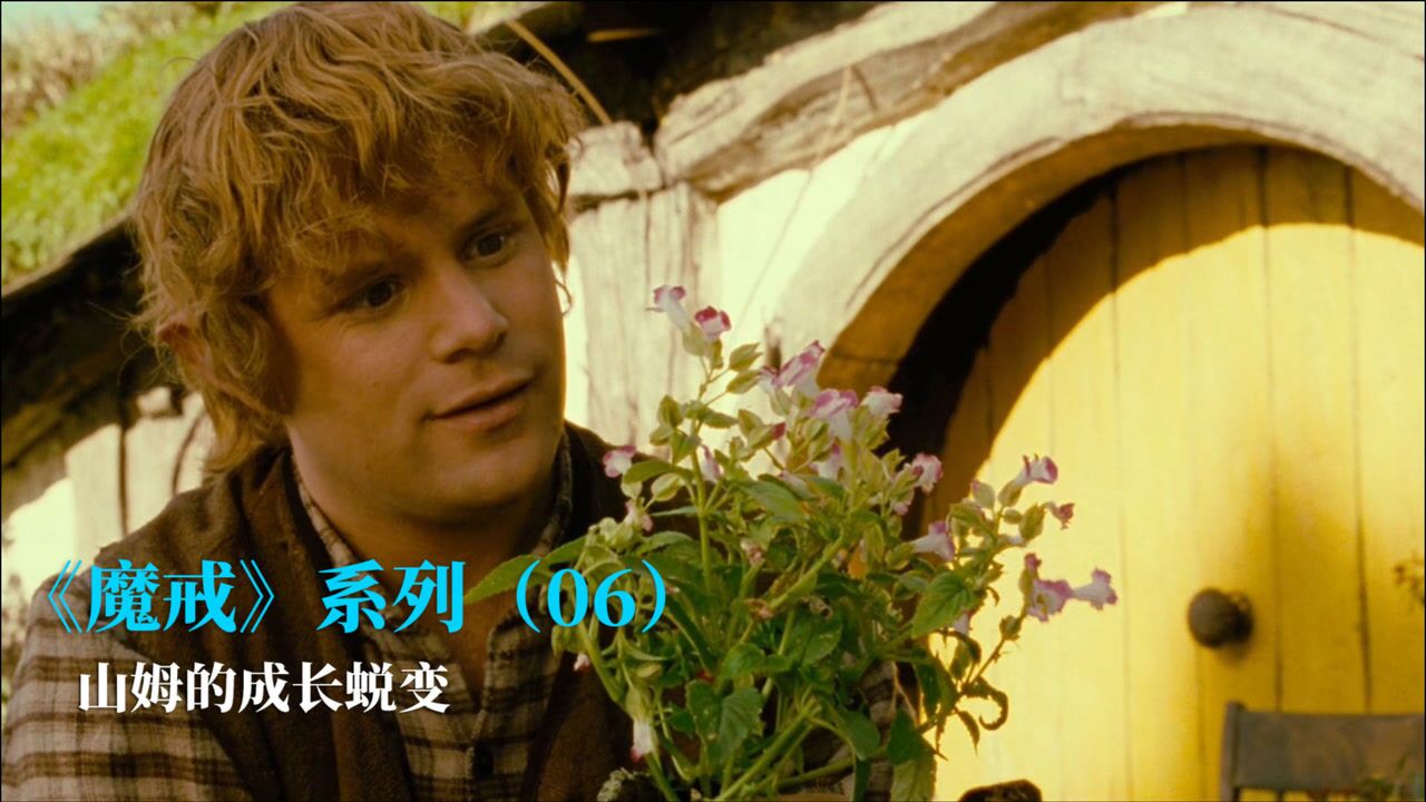 魔戒精彩速看_《魔戒》系列（06）山姆的成长蜕变_高清1080P在线观看平台_腾讯视频